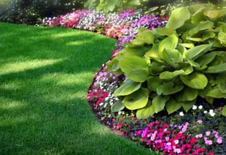 Expert yard maintenance in Texarkana, TX - Vanderhoof Tree, Lawn & Landscape