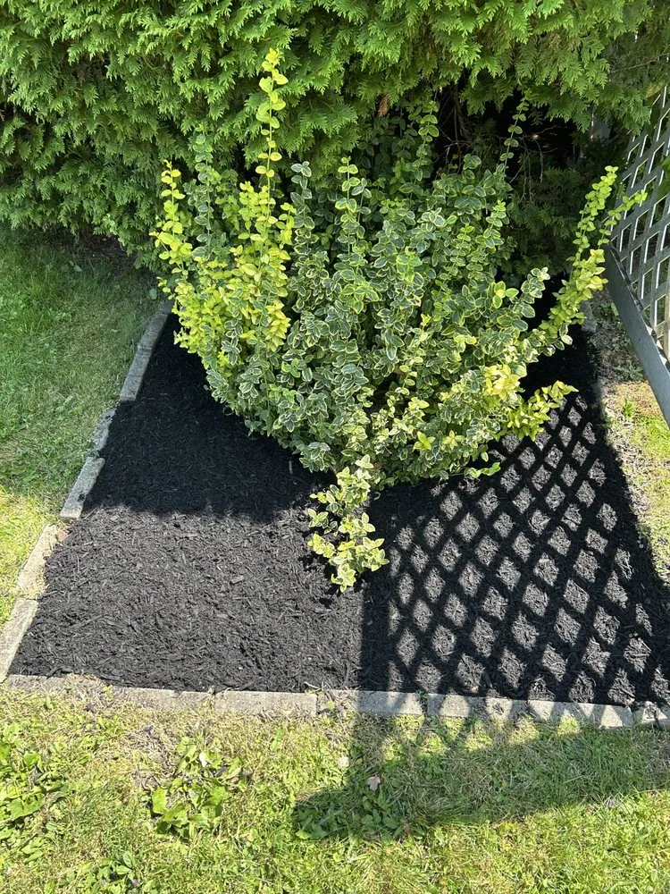 Local landscape installation in Winchester, CT - Vandeusen’s Lawn Services