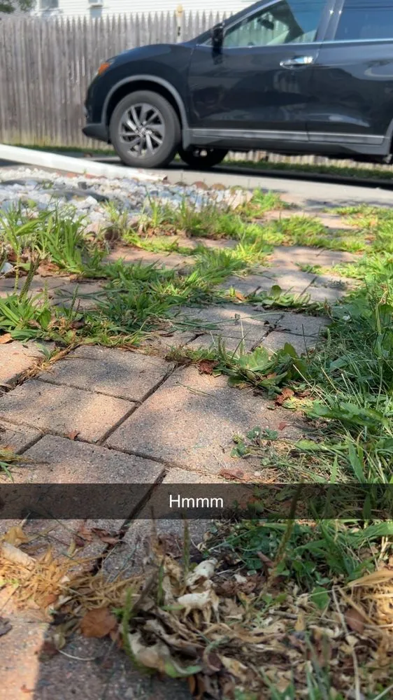 Affordable landscape design for beautiful yards in Winchester, CT by Vandeusen’s Lawn Services