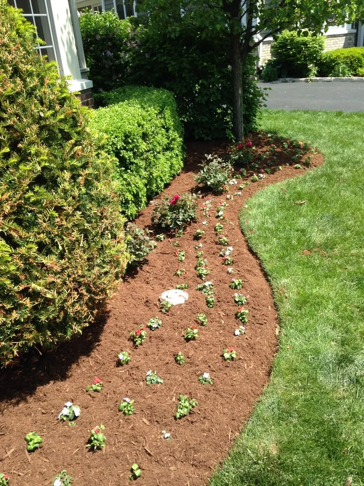 Trusted lawn care service in Skokie, IL - VandJ Landscaping & Services