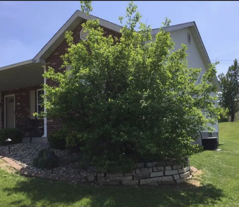 Reliable residential landscaping for residential properties in Brighton, IL by Vandygriff Lawn Service