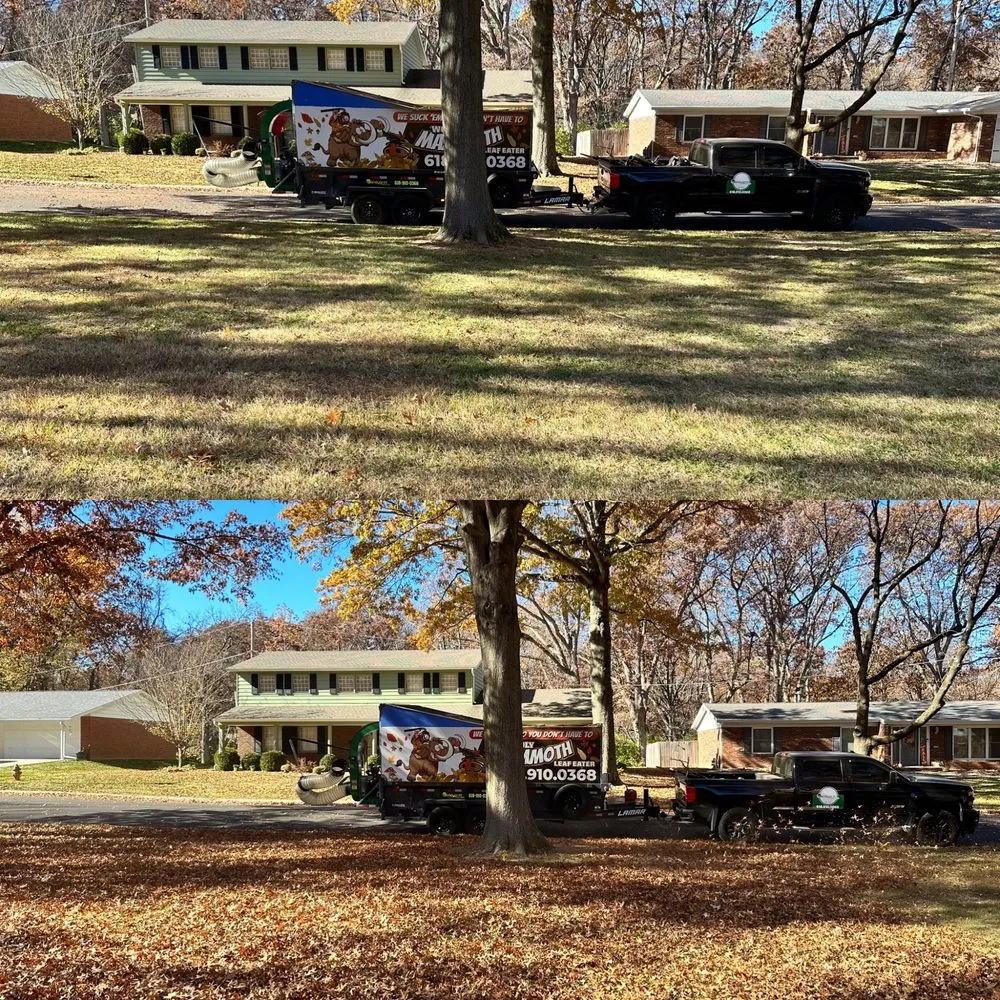Reliable lawn care service experts serving Brighton, IL - Vandygriff Lawn Service