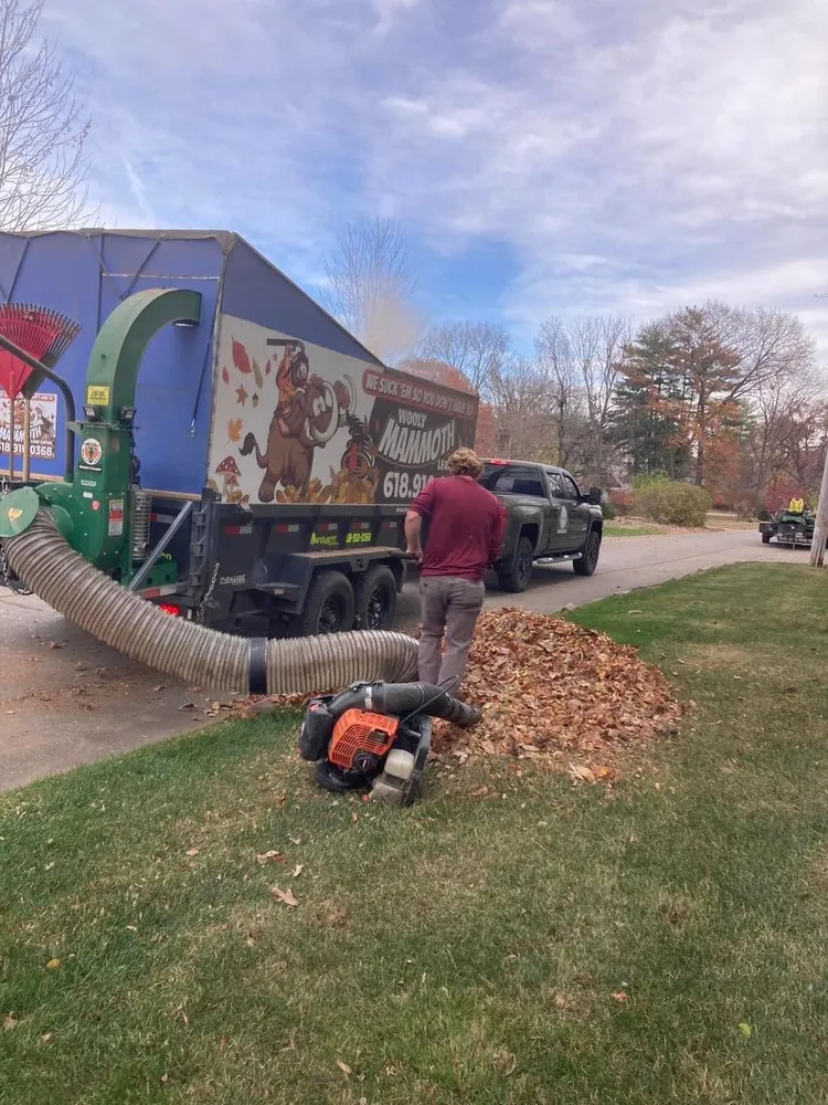 Trusted landscaping services in Brighton, IL - Vandygriff Lawn Service