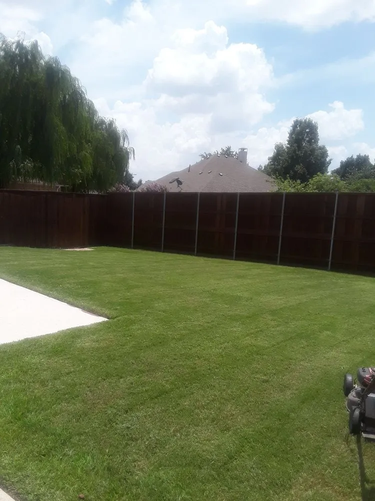 Affordable landscape design in Wylie, TX - Vanegas landscaping