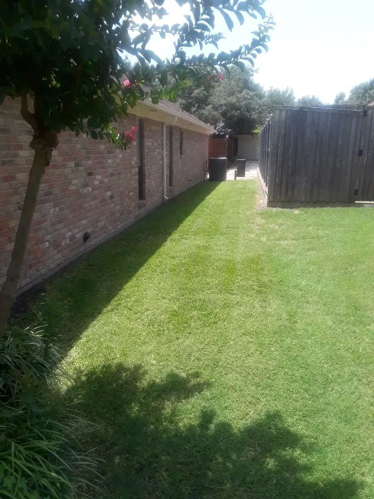 Local landscape installation in Wylie, TX - Vanegas landscaping