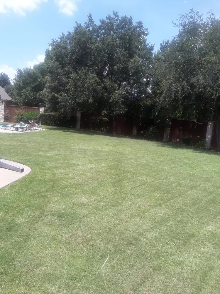 Expert landscape installation experts serving Wylie, TX - Vanegas landscaping