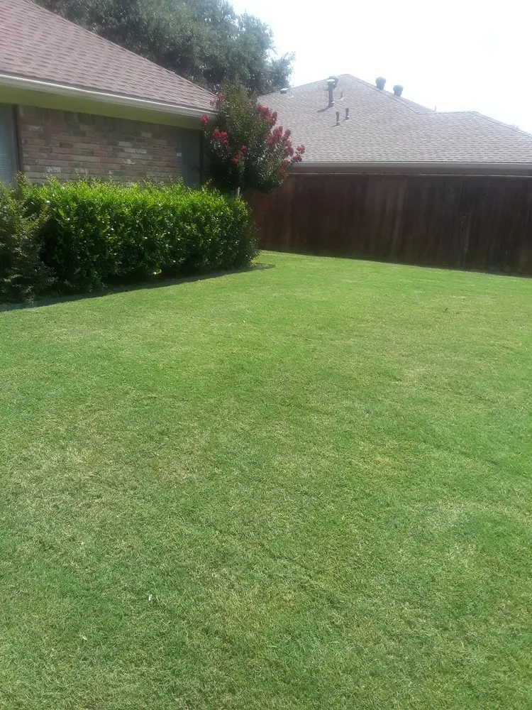 Affordable landscaping services in Wylie, TX by Vanegas landscaping