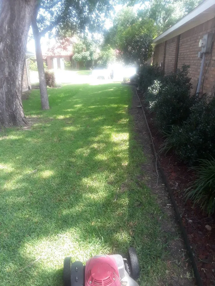 Professional landscape installation for outdoor upgrades across Wylie, TX - Vanegas landscaping