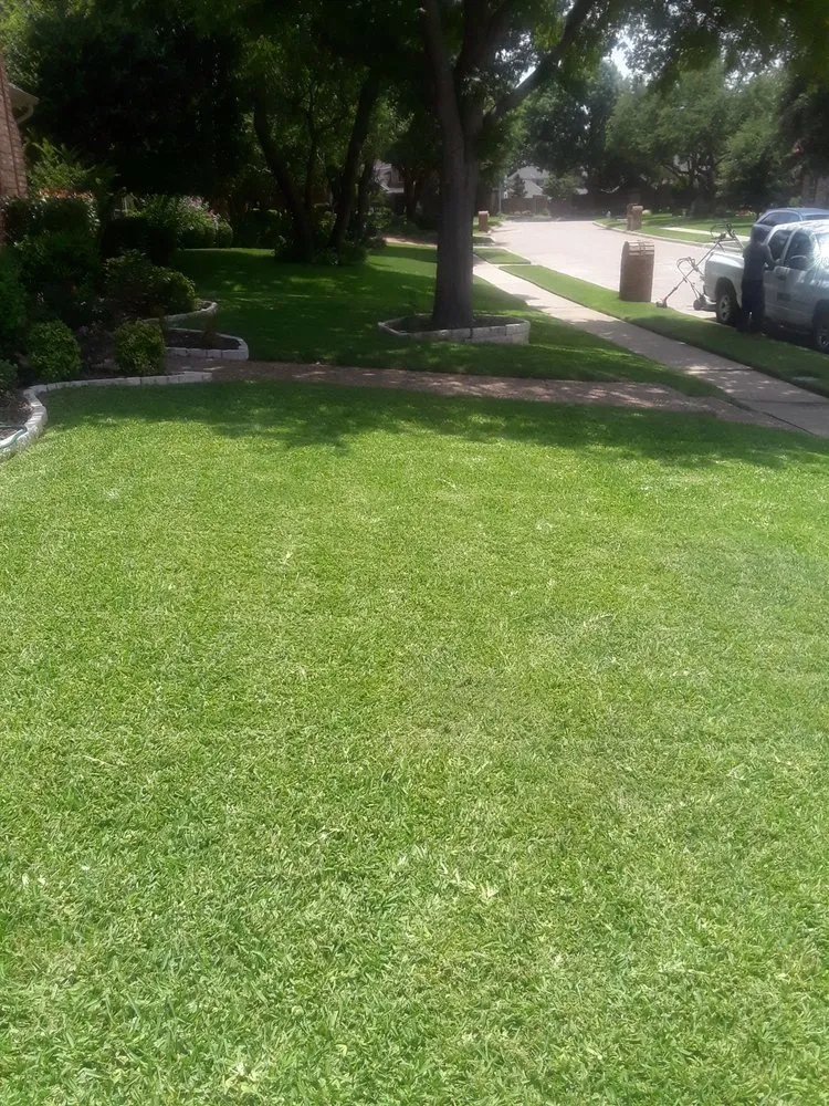 Trusted yard cleanup service in Wylie, TX by Vanegas landscaping