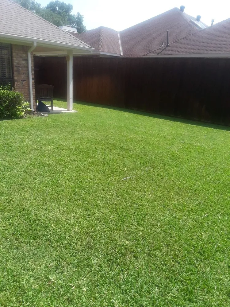 Affordable lawn mowing service for outdoor upgrades in Wylie, TX by Vanegas landscaping