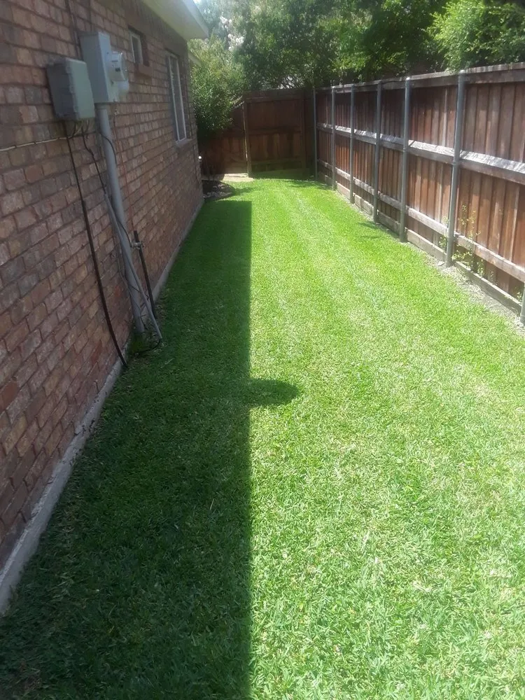 Expert yard cleanup service experts serving Wylie, TX - Vanegas landscaping
