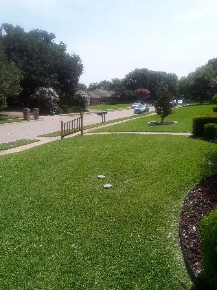 Expert yard cleanup service experts serving Wylie, TX - Vanegas landscaping