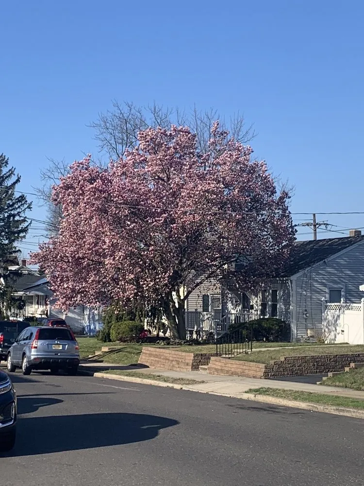 Local lawn care service with custom design across Trenton, NJ - Vanegas Outdoor