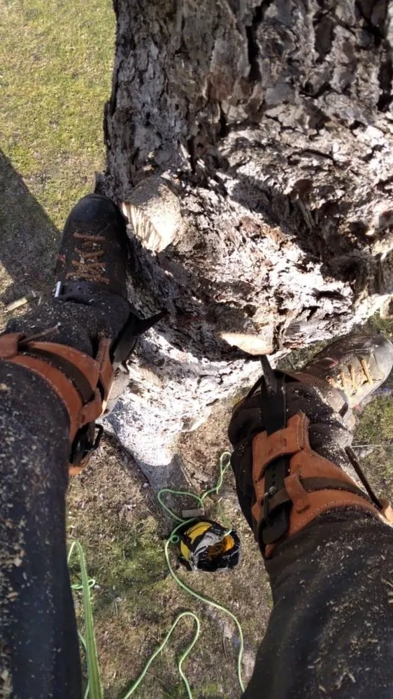 Custom landscaping services experts serving Trenton, NJ - Vanegas Outdoor