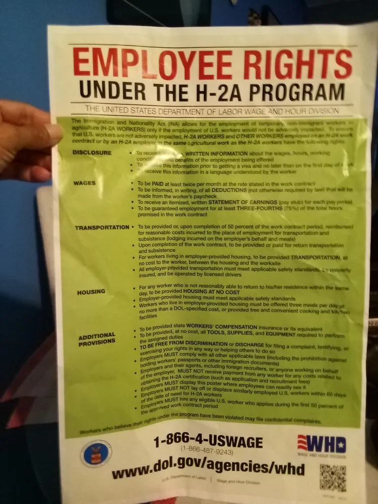 Affordable landscape installation with custom design across Hallandale Beach, FL - Vanessa Construction Cleaning Landscaping Biz