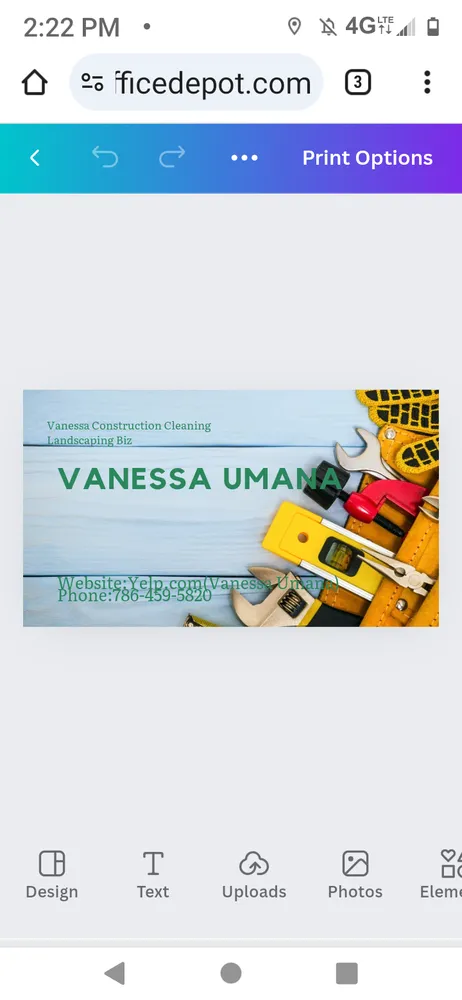 Trusted garden landscaping in Hallandale Beach, FL by Vanessa Construction Cleaning Landscaping Biz
