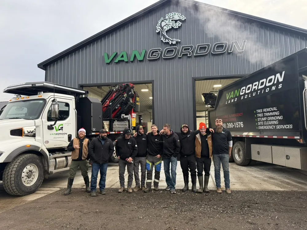 Affordable yard cleanup service experts serving Highland, MI - VanGordon Tree & Land Solutions