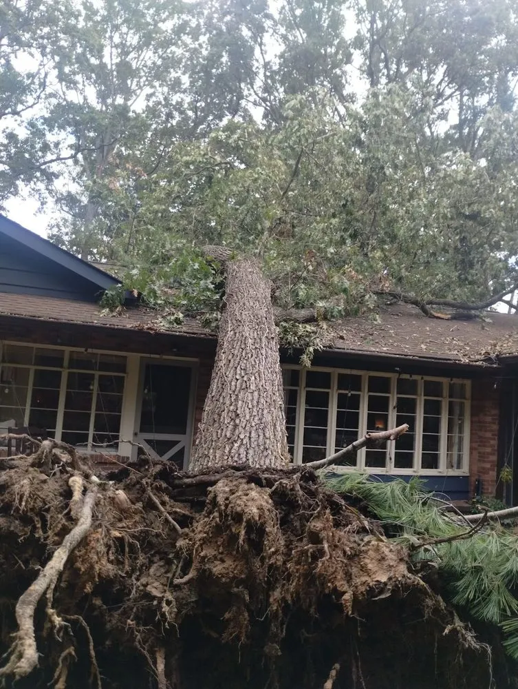 Reliable residential landscaping experts serving Highland, MI - VanGordon Tree & Land Solutions