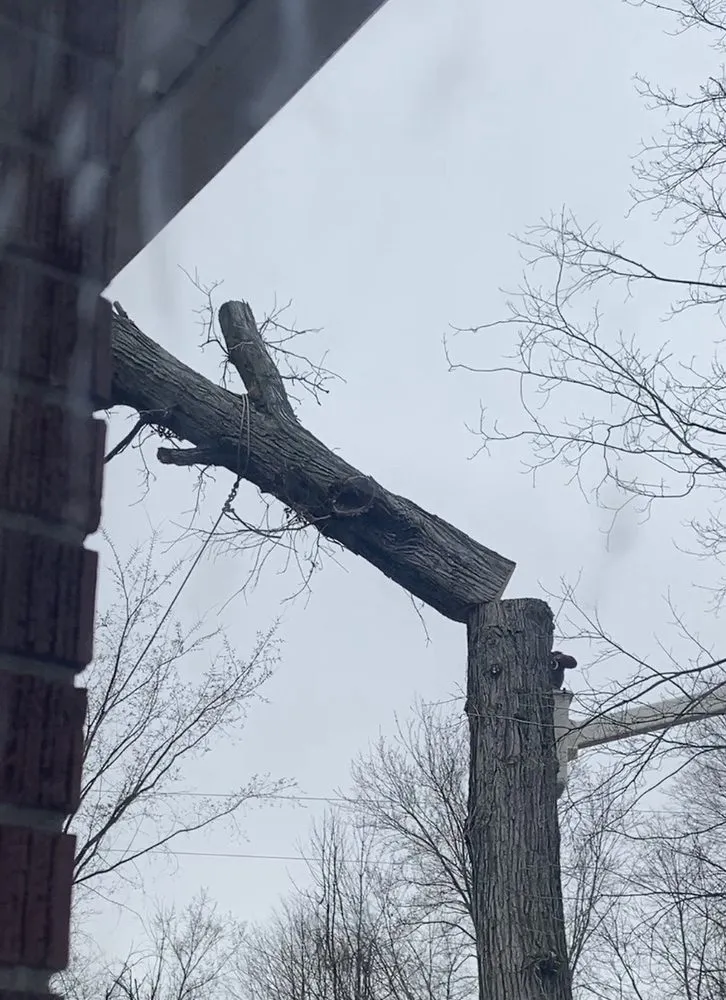 Affordable landscaping services in Highland, MI - VanGordon Tree & Land Solutions