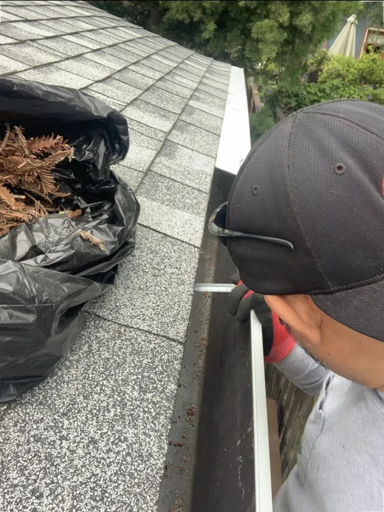 Affordable landscaping services in HILLTOP MALL, CA by Vanguard Greenscape