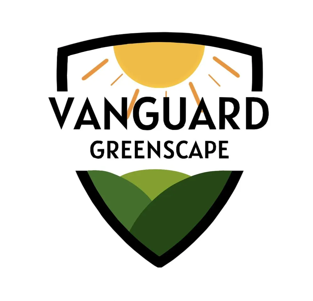 Professional yard cleanup service in HILLTOP MALL, CA - Vanguard Greenscape