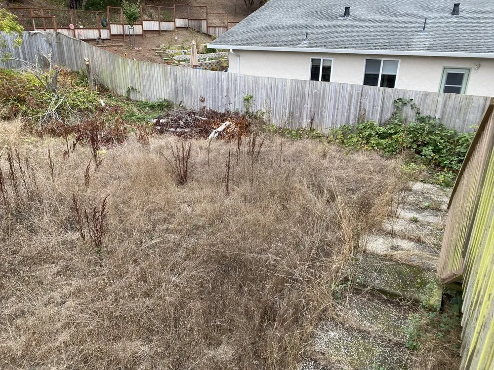 Trusted garden landscaping for residential properties across HILLTOP MALL, CA - Vanguard Greenscape