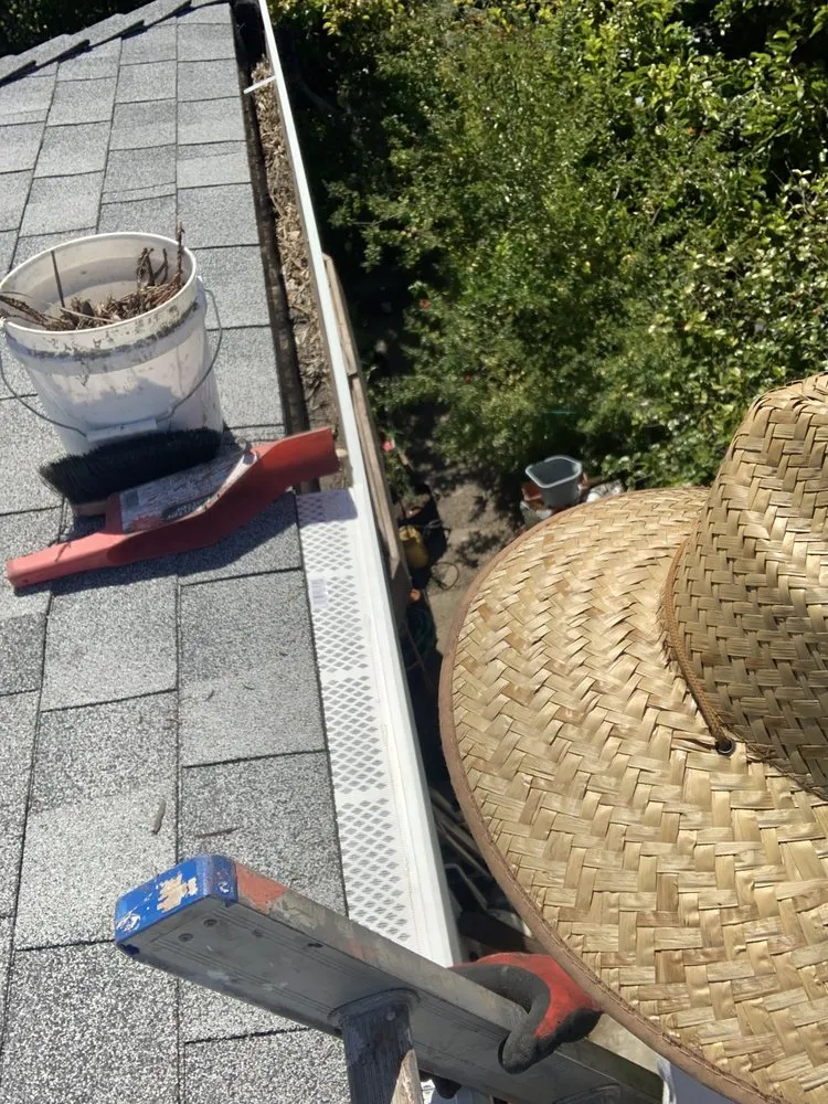Custom yard cleanup service in HILLTOP MALL, CA by Vanguard Greenscape