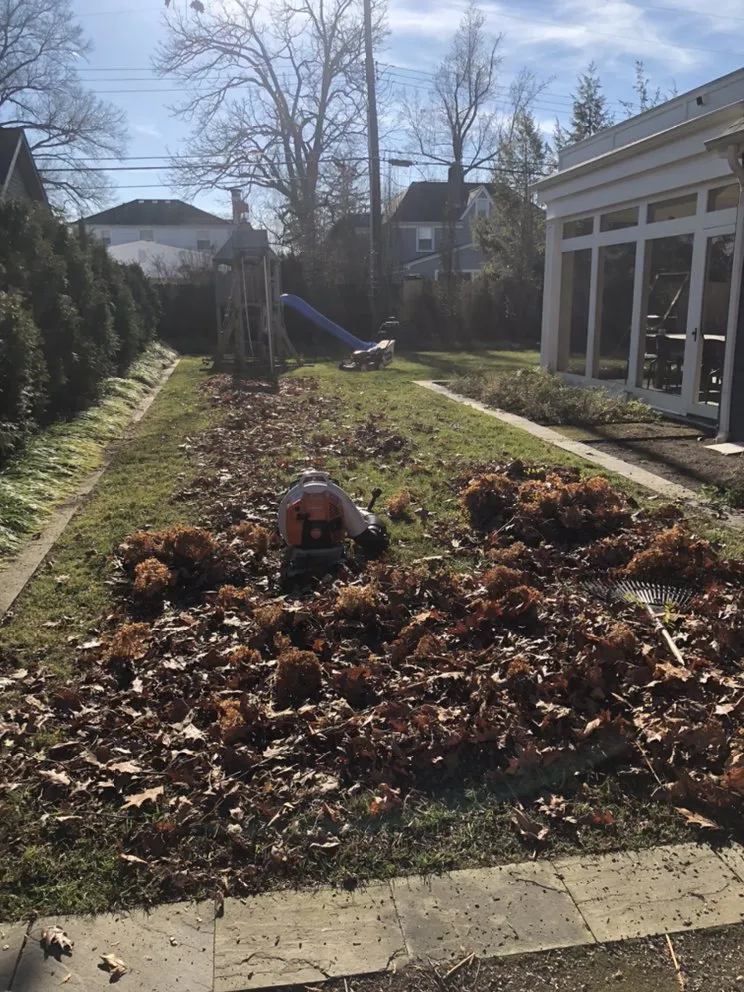 Professional lawn care service with custom design in Columbus, OH by Vanguard Landscaping