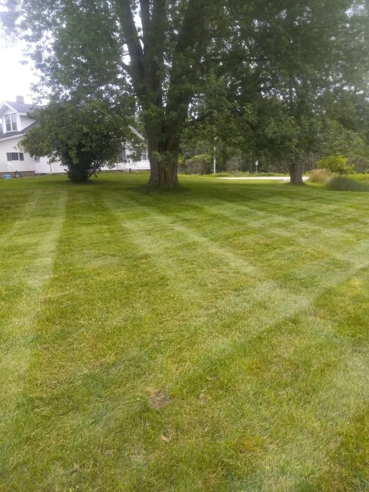 Custom yard maintenance experts serving Holton, MI - Vankampens Qualityscaping