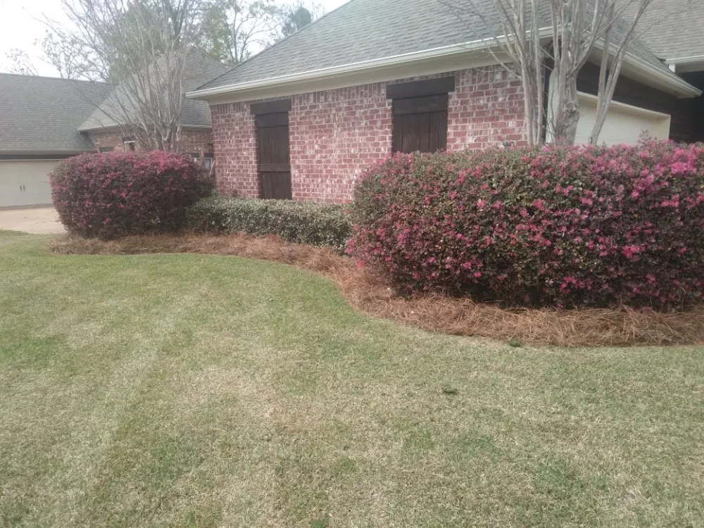 Professional landscape installation experts serving Jackson, MS - Vanlandingham Lawn Care & Services