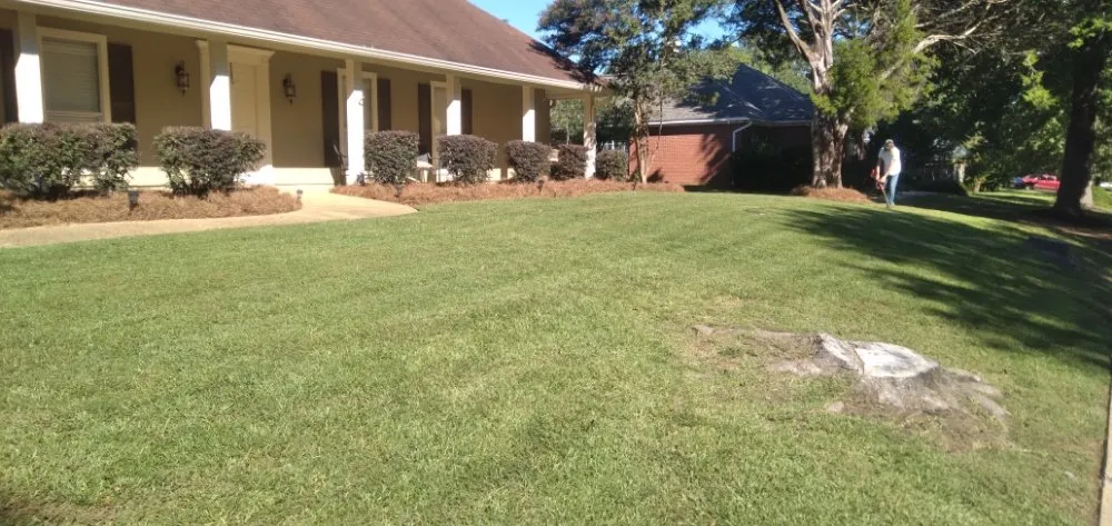 Local landscape installation in Jackson, MS - Vanlandingham Lawn Care & Services