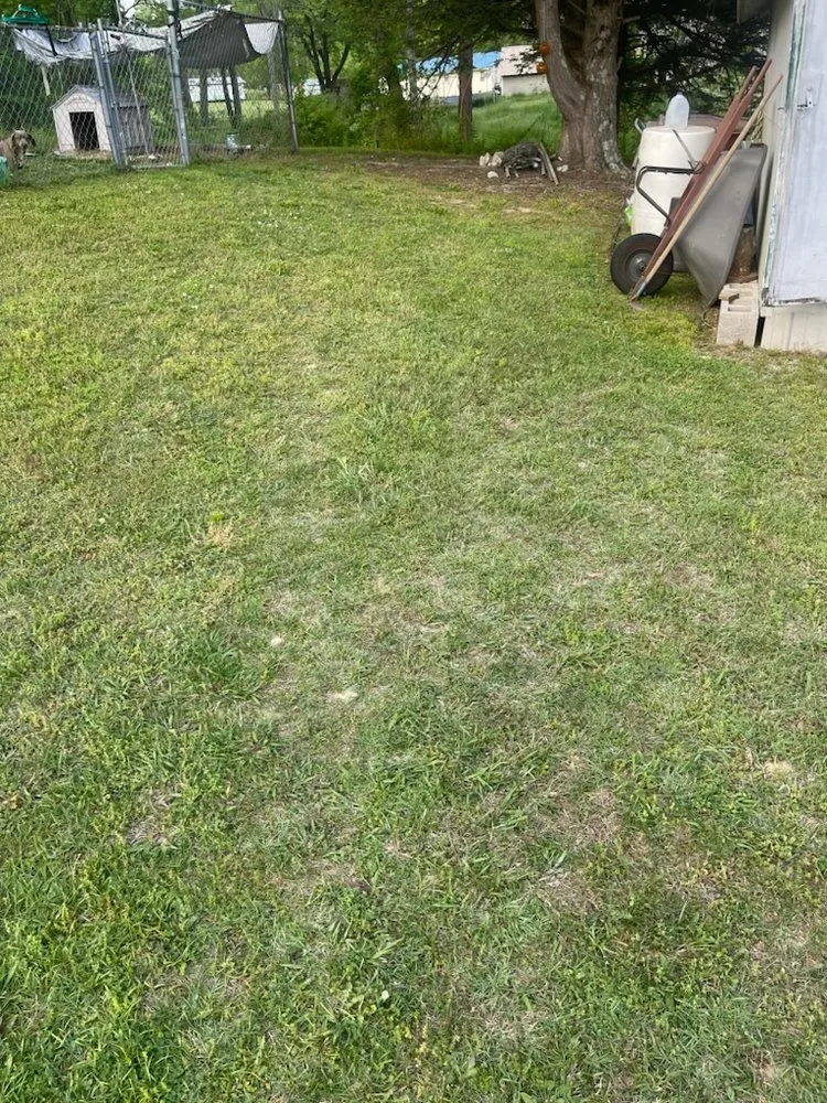 Reliable garden landscaping for outdoor upgrades across Corbin, KY - Vann Cuts Lawn Care Service