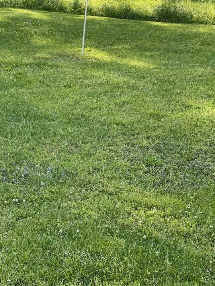 Local yard maintenance experts serving Corbin, KY - Vann Cuts Lawn Care Service