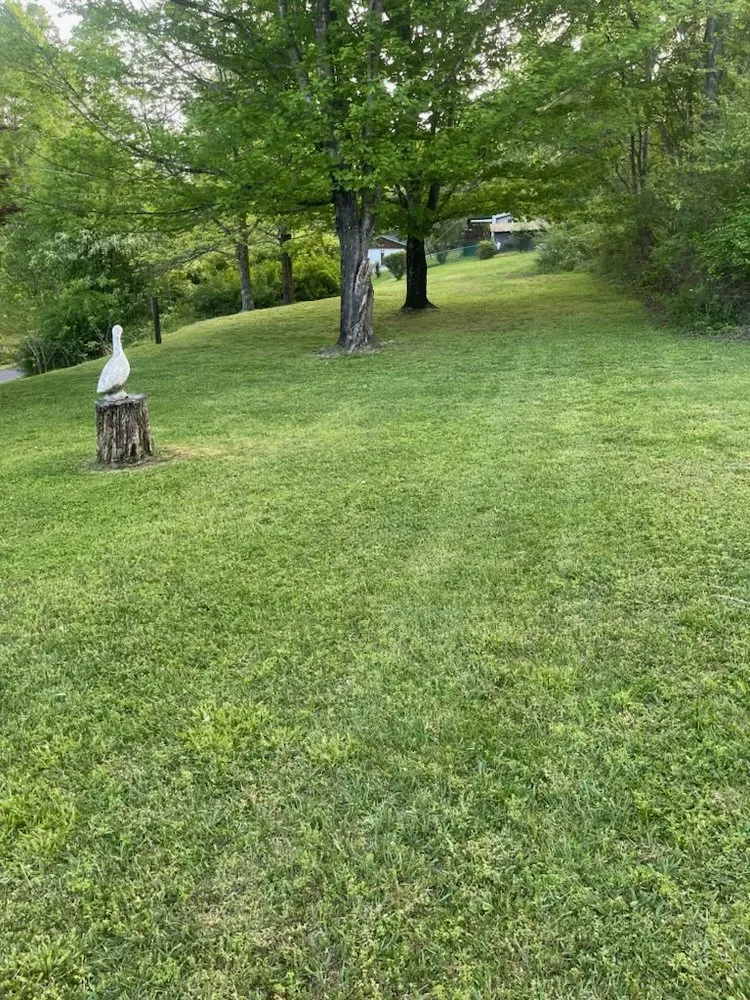 Trusted lawn care service in Corbin, KY by Vann Cuts Lawn Care Service
