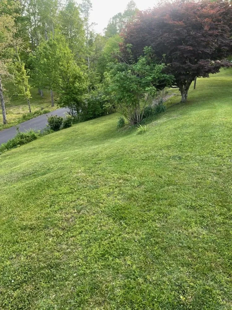 Expert yard maintenance for year-round maintenance in Corbin, KY by Vann Cuts Lawn Care Service