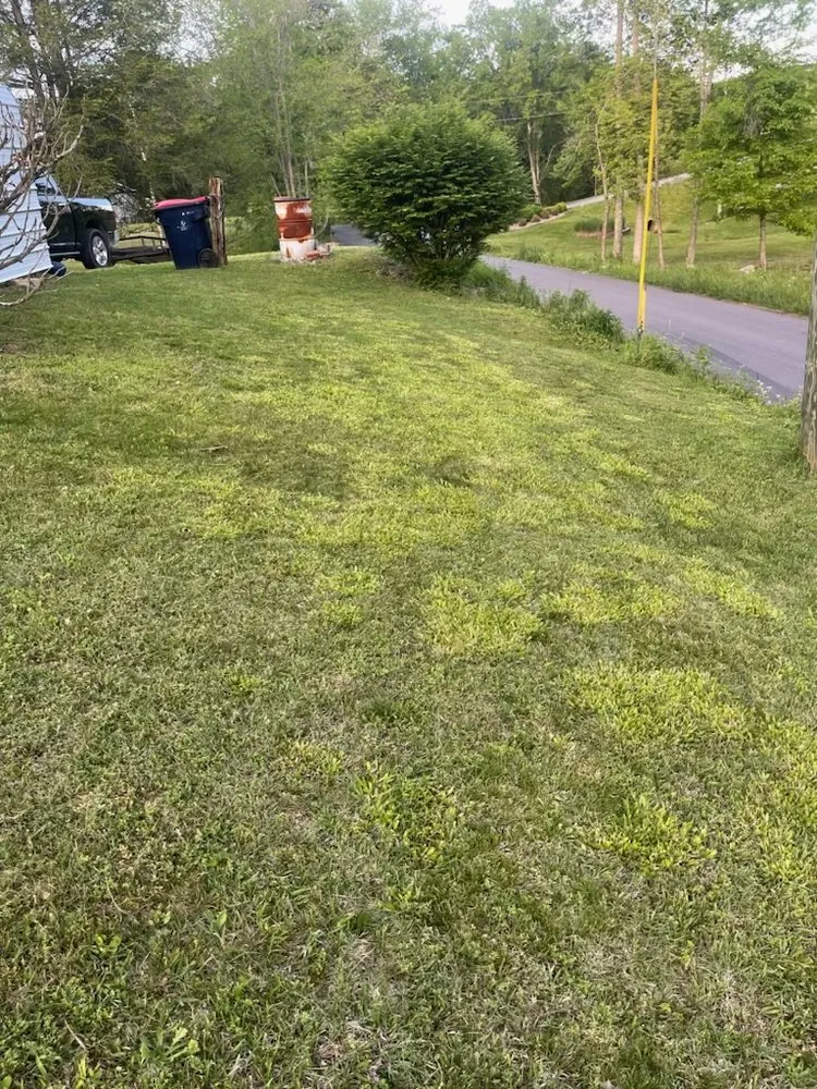 Custom landscape installation for residential properties across Corbin, KY - Vann Cuts Lawn Care Service