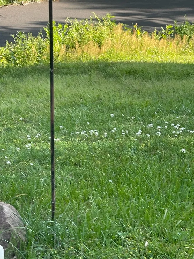 Affordable lawn mowing service in Corbin, KY - Vann Cuts Lawn Care Service