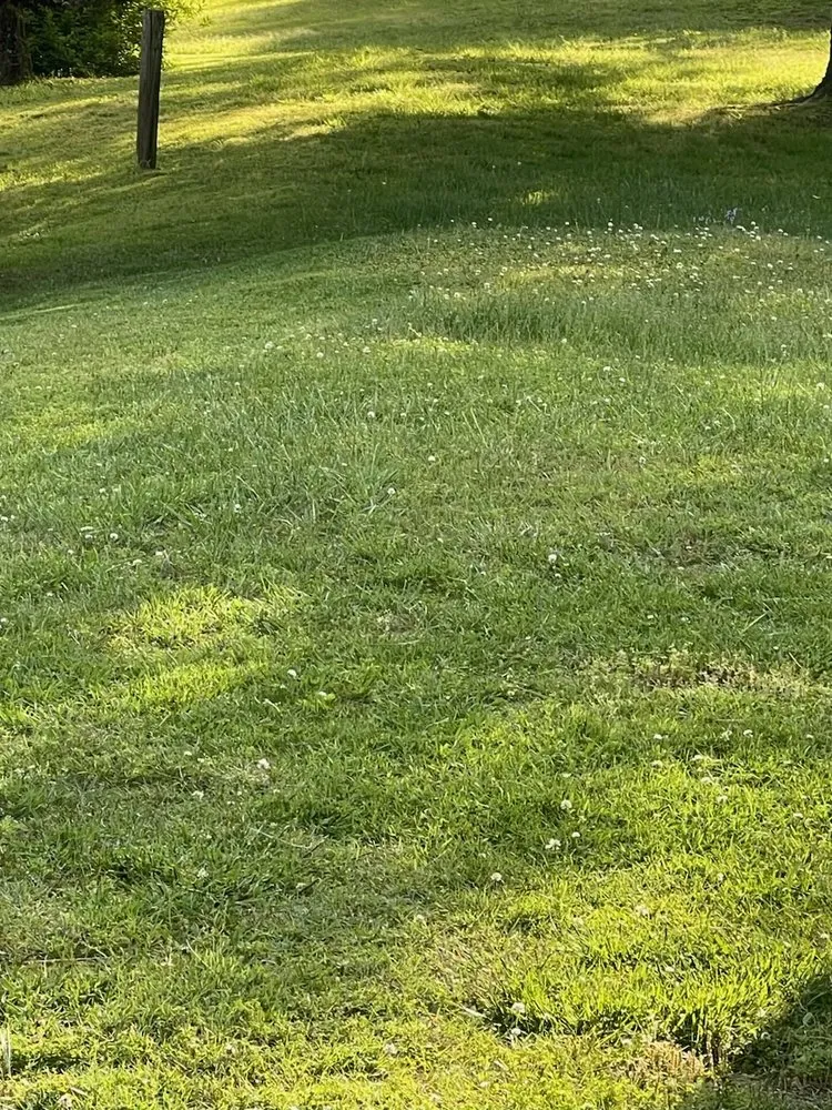 Custom outdoor landscaping experts serving Corbin, KY - Vann Cuts Lawn Care Service