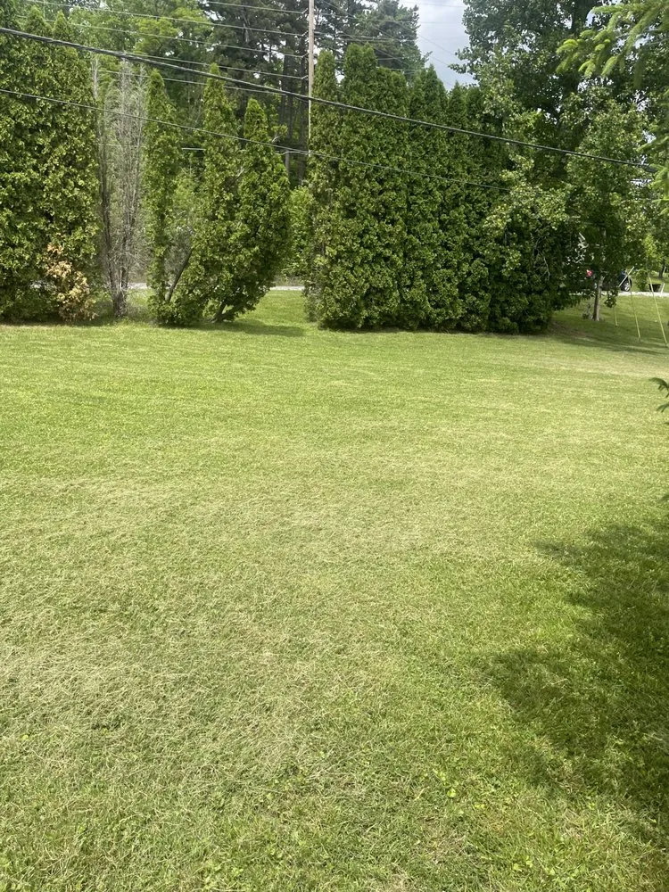 Expert lawn mowing service with custom design in Corbin, KY by Vann Cuts Lawn Care Service
