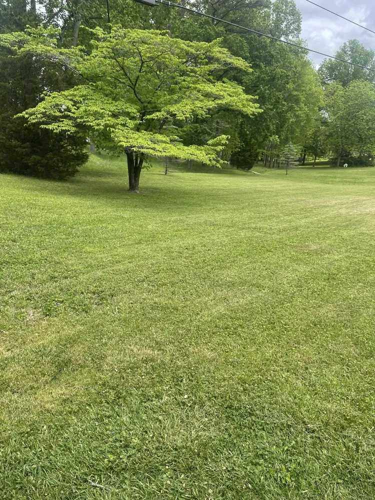 Top-rated yard cleanup service in Corbin, KY - Vann Cuts Lawn Care Service