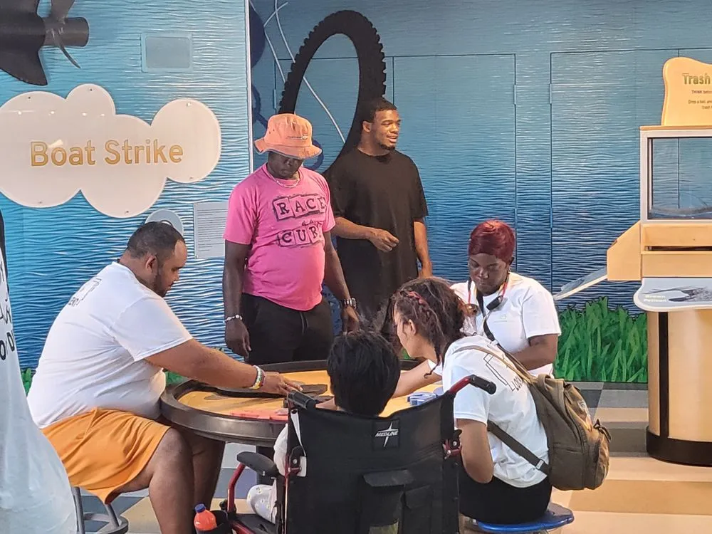 Affordable landscape design in Ruskin, FL by Vann Rainey