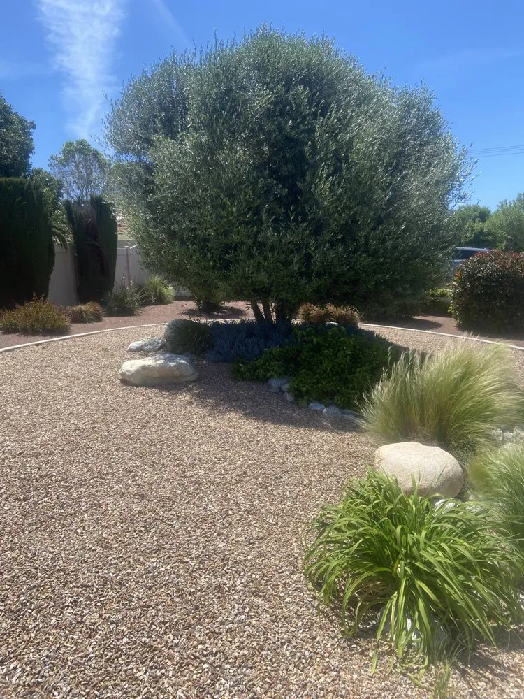 Top-rated landscape installation experts serving East Hemet, CA - Van's Landscape Construction