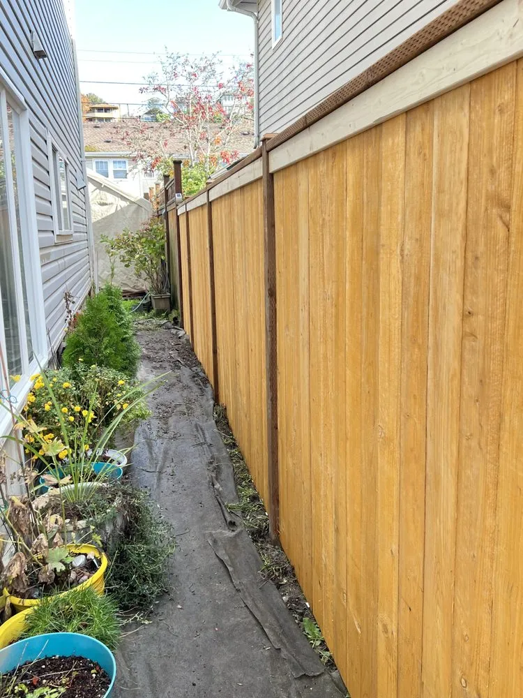 Trusted lawn care service in Seattle, WA by Van's Landscape