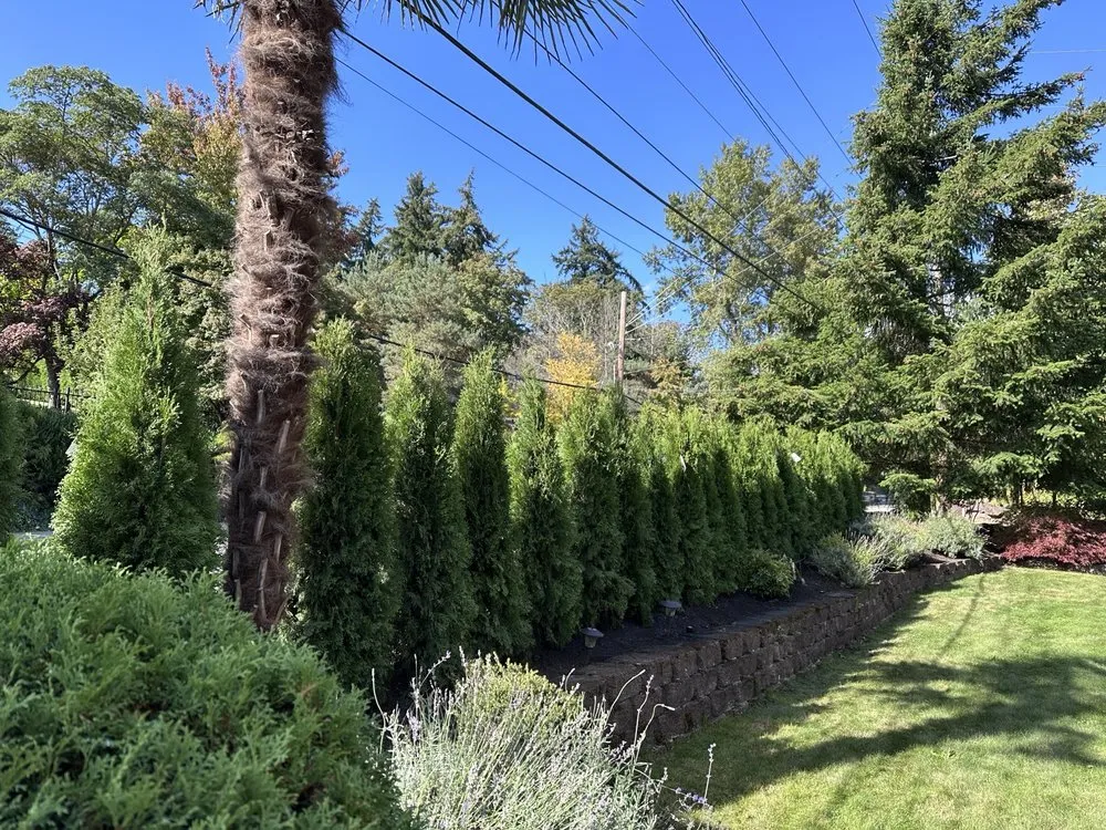 Top-rated landscape installation for year-round maintenance across Seattle, WA - Van's Landscape