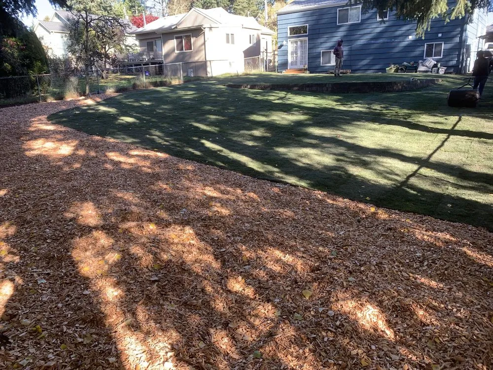 Professional yard maintenance for year-round maintenance across Seattle, WA - Van's Landscape