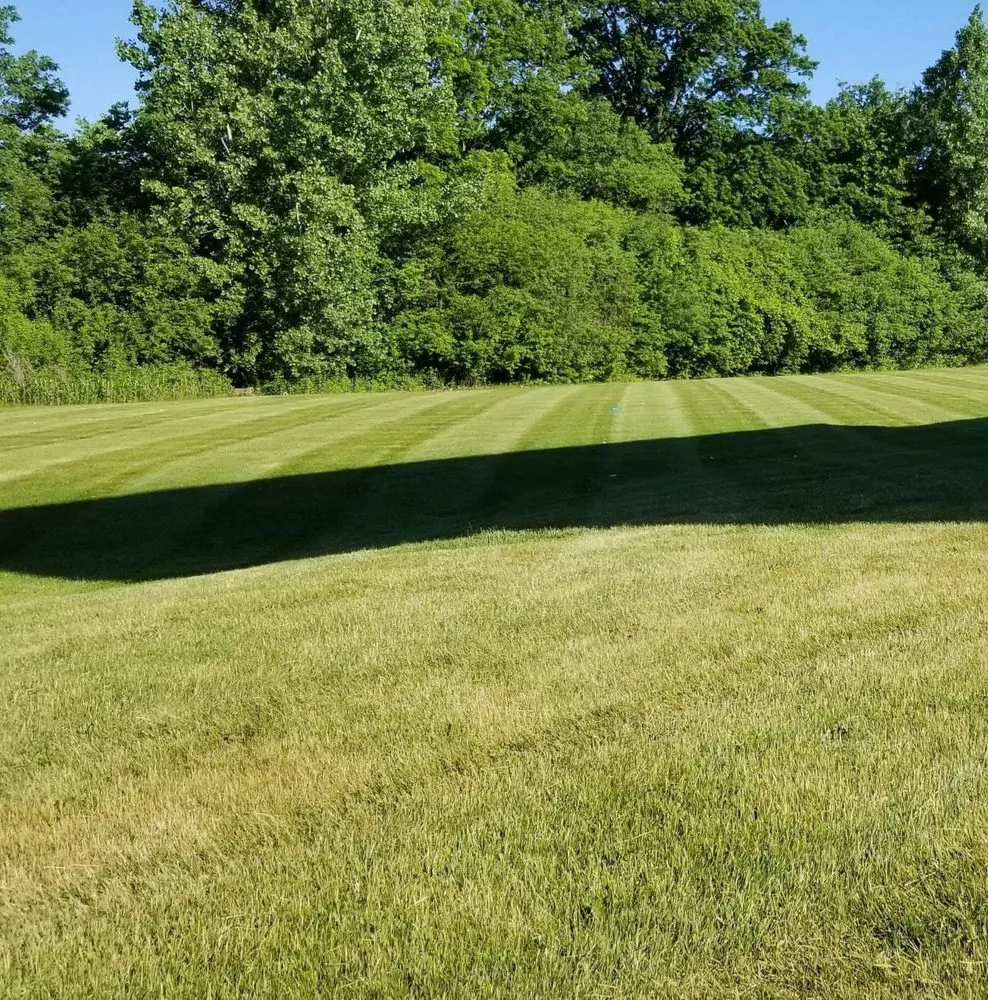 Expert yard cleanup service experts serving Green Bay, WI - Van's Lawn & Snow Care