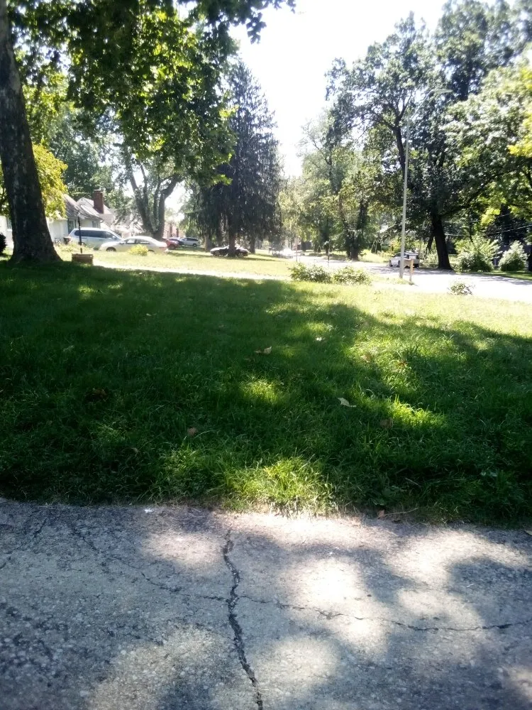 Expert lawn mowing service in MO, MO - Vans Mowing