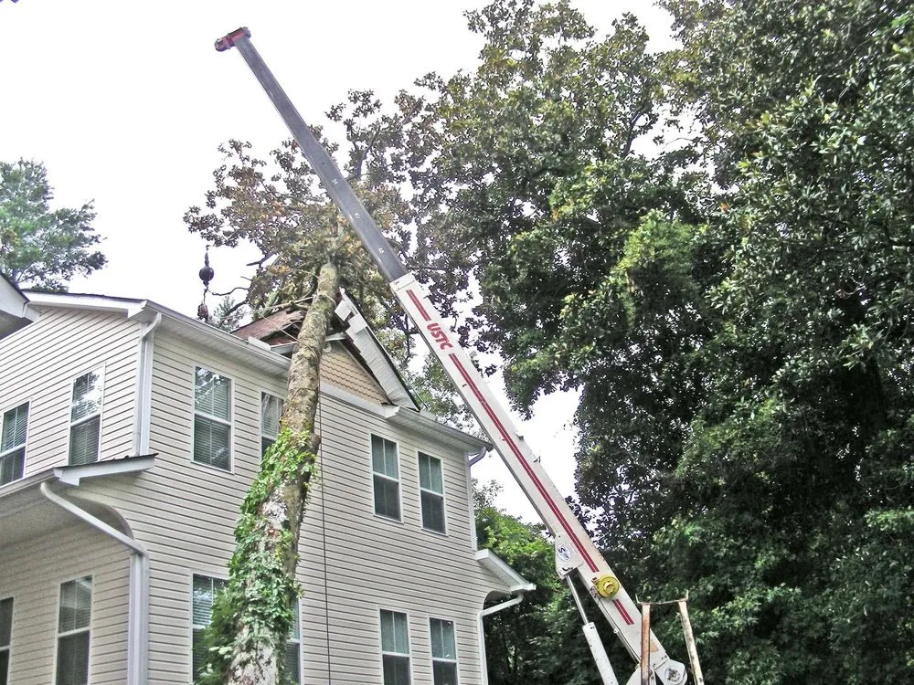 Professional garden landscaping in Charleston, SC by Van's Tree Service