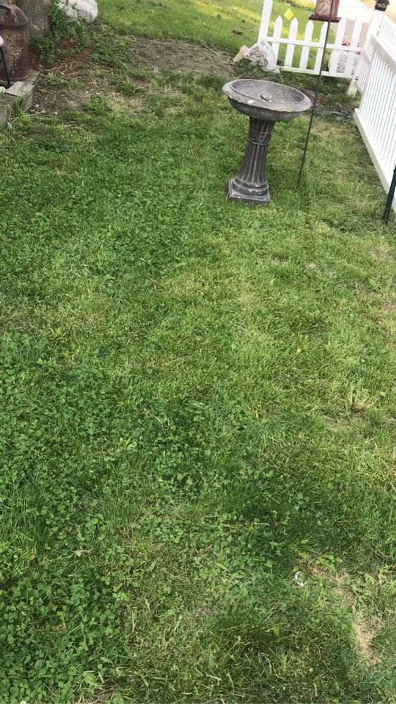 Trusted garden landscaping with custom design in Lima, OH by Vanschoyck Landscaping