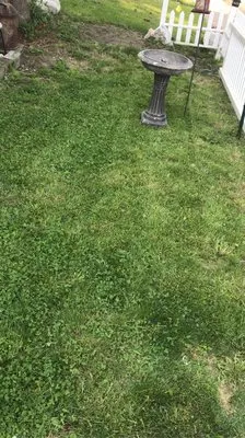 Vanschoyck Landscaping Logo